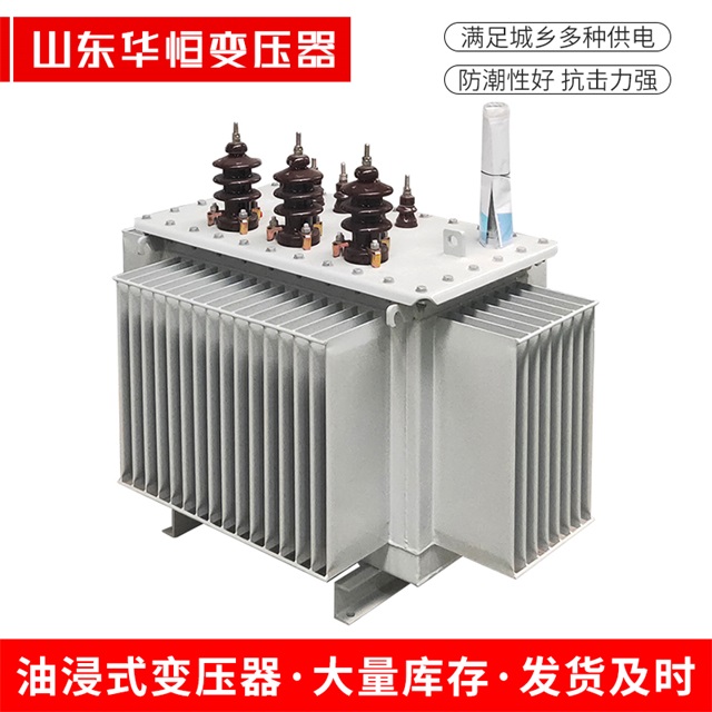 S13-10000/35扬中扬中扬中油浸式变压器厂家